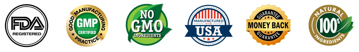 Certified movewell daily